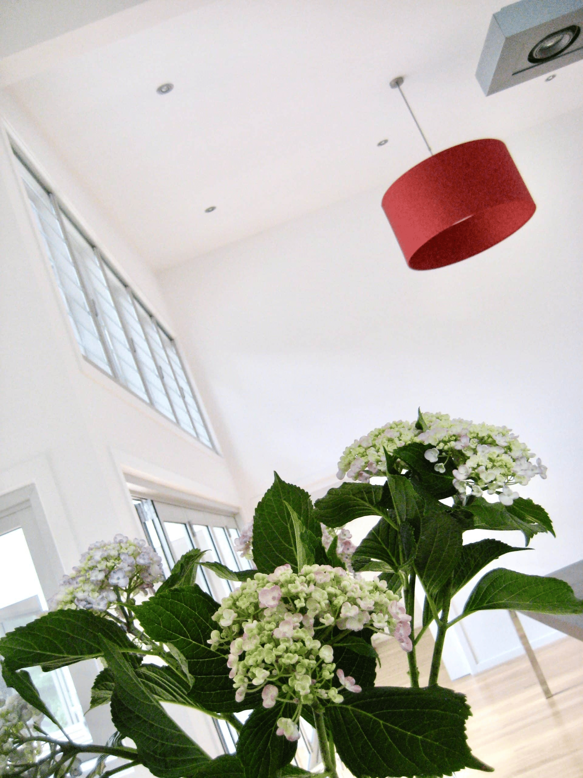 Mangerton Knockdown Rebuild — photo 18 — Adlington Homes